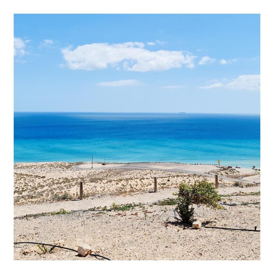 Your Ocean Blue Costa Calma Exteriör bild