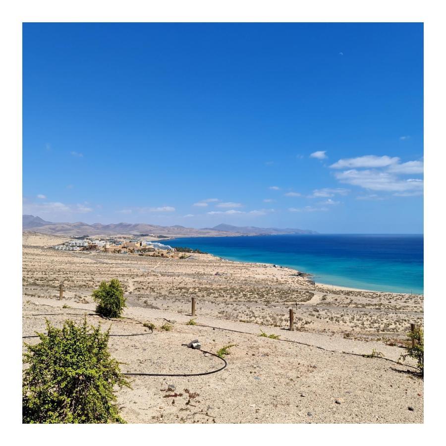 Your Ocean Blue Costa Calma Exteriör bild